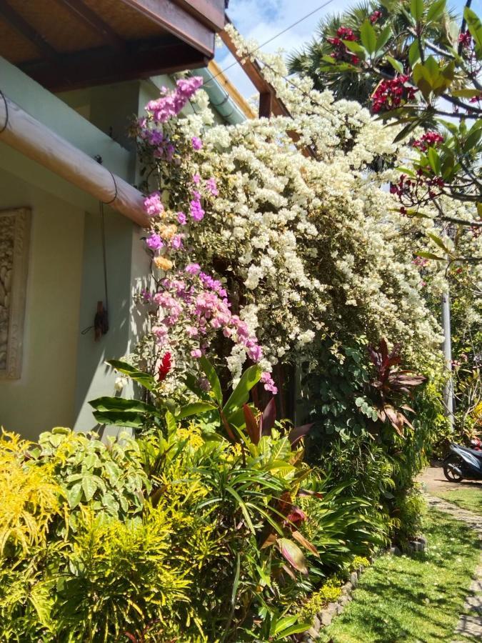 Villa Cantik Sambirenteng Gretek エクステリア 写真
